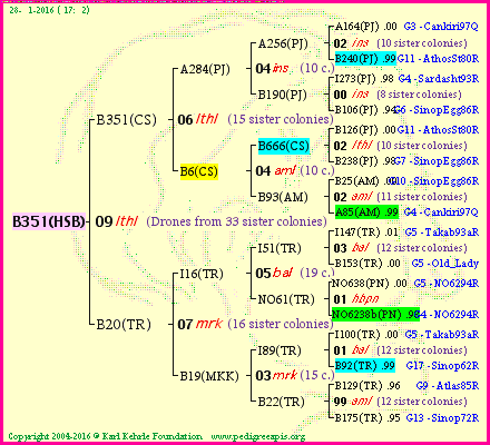 Pedigree of B351(HSB) :
four generations presented
it's temporarily unavailable, sorry!