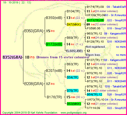 Pedigree of B352(GRA) :
four generations presented
it's temporarily unavailable, sorry!