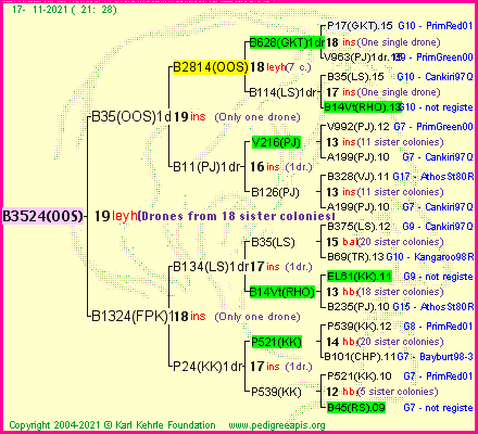 Pedigree of B3524(OOS) :
four generations presented
it's temporarily unavailable, sorry!