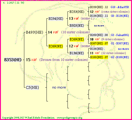 Pedigree of B353(HE) :
four generations presented