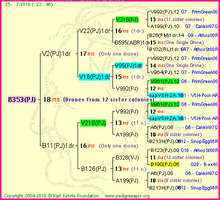 Pedigree of B353(PJ) :
four generations presented<br />it's temporarily unavailable, sorry!