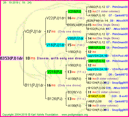 Pedigree of B353(PJ)1dr :
four generations presented
it's temporarily unavailable, sorry!