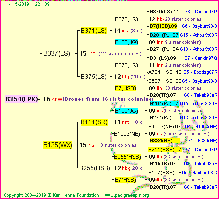 Pedigree of B354(FPK) :
four generations presented<br />it's temporarily unavailable, sorry!