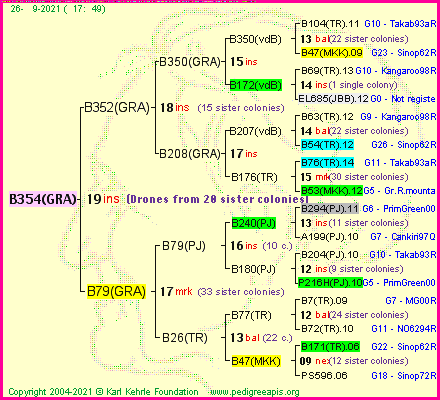 Pedigree of B354(GRA) :
four generations presented
it's temporarily unavailable, sorry!