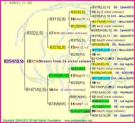 Pedigree of B3547(LS) :
four generations presented
it's temporarily unavailable, sorry!