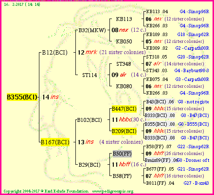 Pedigree of B355(BCI) :
four generations presented