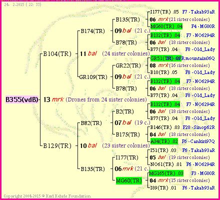 Pedigree of B355(vdB) :
four generations presented<br />it's temporarily unavailable, sorry!