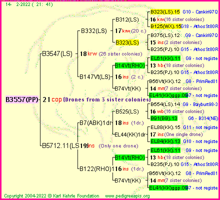 Pedigree of B3557(PP) :
four generations presented
it's temporarily unavailable, sorry!