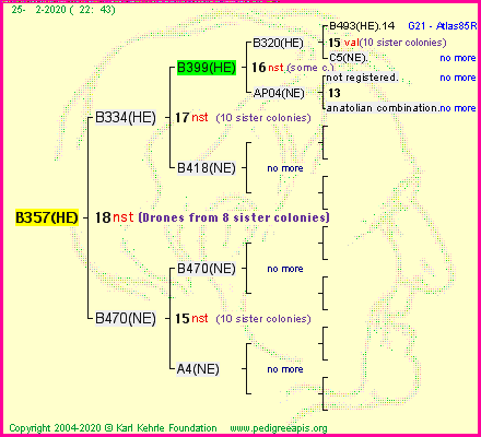 Pedigree of B357(HE) :
four generations presented<br />it's temporarily unavailable, sorry!