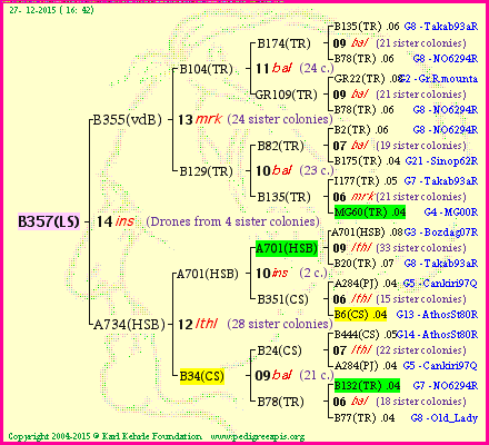 Pedigree of B357(LS) :
four generations presented