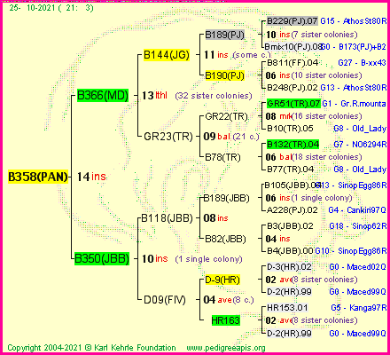 Pedigree of B358(PAN) :
four generations presented
it's temporarily unavailable, sorry!