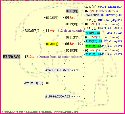 Pedigree of B359(BW) :
four generations presented
it's temporarily unavailable, sorry!