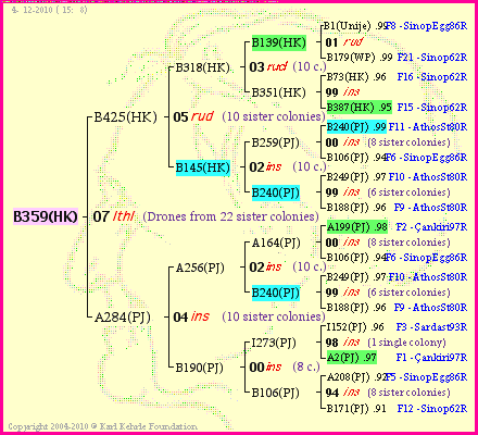 Pedigree of B359(HK) :
four generations presented