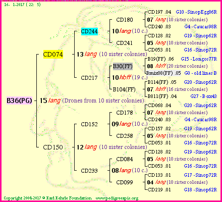 Pedigree of B36(PG) :
four generations presented<br />it's temporarily unavailable, sorry!