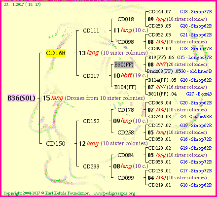 Pedigree of B36(SOL) :
four generations presented
it's temporarily unavailable, sorry!