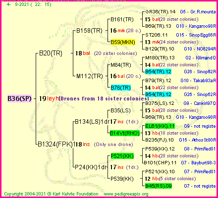 Pedigree of B36(SP) :
four generations presented
it's temporarily unavailable, sorry!