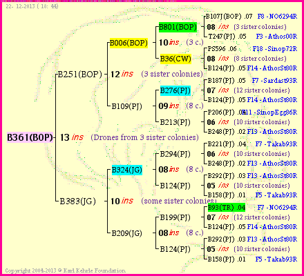 Pedigree of B361(BOP) :
four generations presented