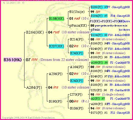 Pedigree of B361(HK) :
four generations presented