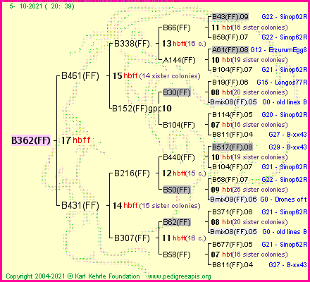 Pedigree of B362(FF) :
four generations presented
it's temporarily unavailable, sorry!