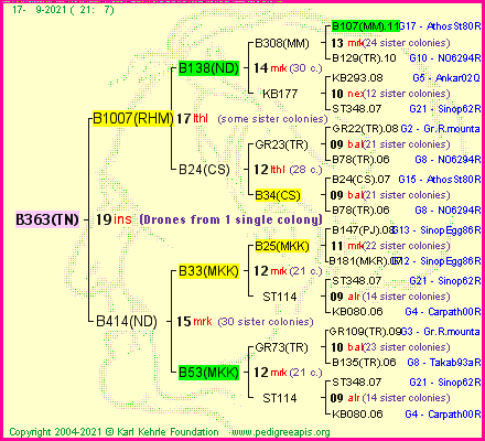 Pedigree of B363(TN) :
four generations presented
it's temporarily unavailable, sorry!