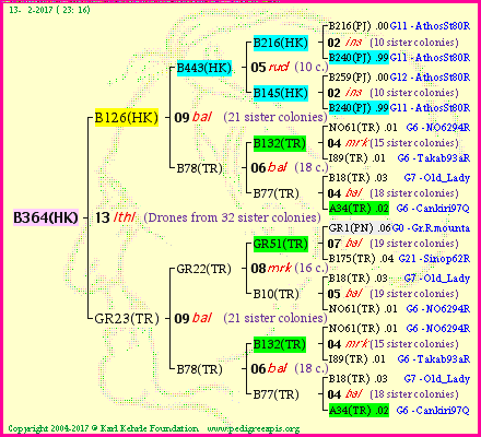 Pedigree of B364(HK) :
four generations presented