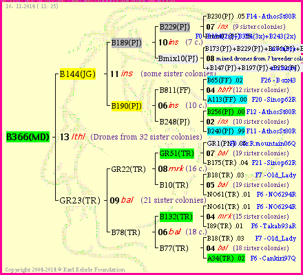 Pedigree of B366(MD) :
four generations presented
it's temporarily unavailable, sorry!