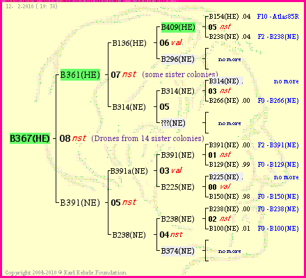 Pedigree of B367(HE) :
four generations presented