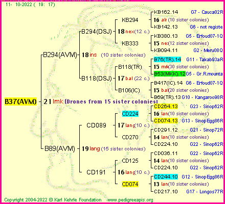 Pedigree of B37(AVM) :
four generations presented
it's temporarily unavailable, sorry!