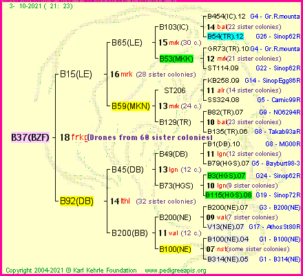 Pedigree of B37(BZF) :
four generations presented
it's temporarily unavailable, sorry!