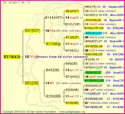 Pedigree of B37(KKS) :
four generations presented
it's temporarily unavailable, sorry!