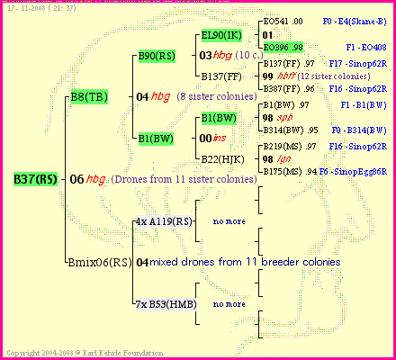 Pedigree of B37(RS) :
four generations presented<br />it's temporarily unavailable, sorry!