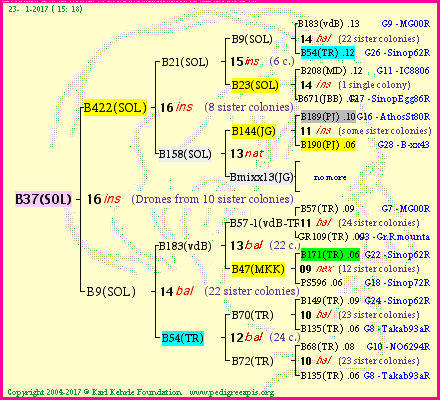 Pedigree of B37(SOL) :
four generations presented
it's temporarily unavailable, sorry!