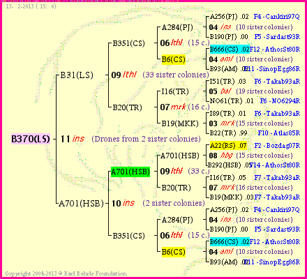 Pedigree of B370(LS) :
four generations presented