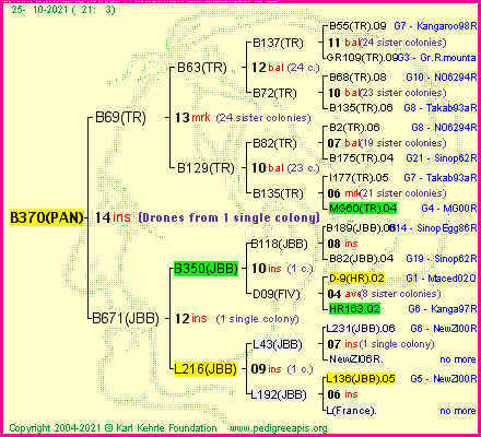 Pedigree of B370(PAN) :
four generations presented
it's temporarily unavailable, sorry!