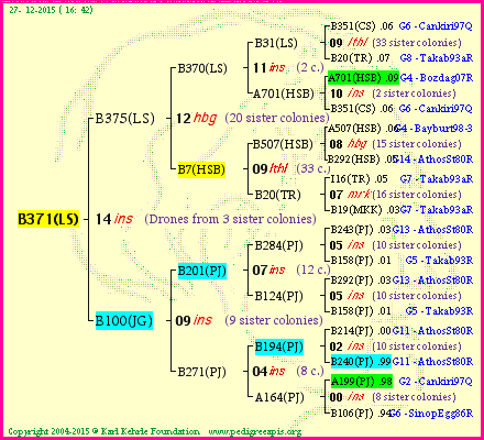 Pedigree of B371(LS) :
four generations presented<br />it's temporarily unavailable, sorry!