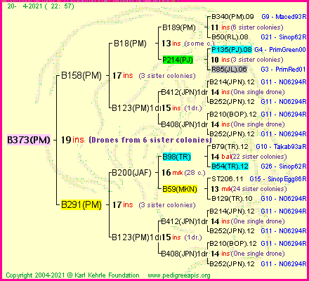 Pedigree of B373(PM) :
four generations presented
it's temporarily unavailable, sorry!