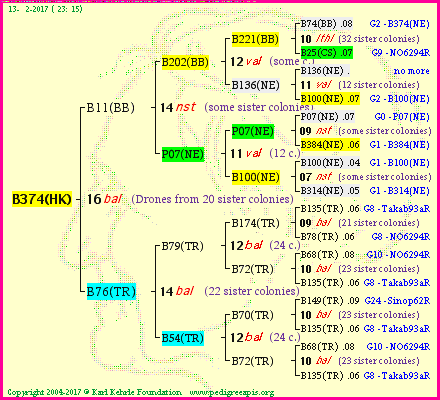 Pedigree of B374(HK) :
four generations presented