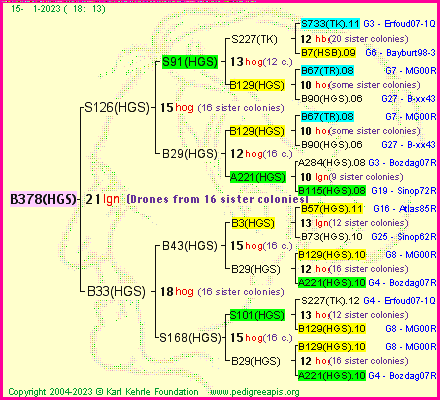 Pedigree of B378(HGS) :
four generations presented
it's temporarily unavailable, sorry!