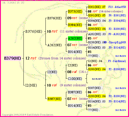 Pedigree of B379(HE) :
four generations presented