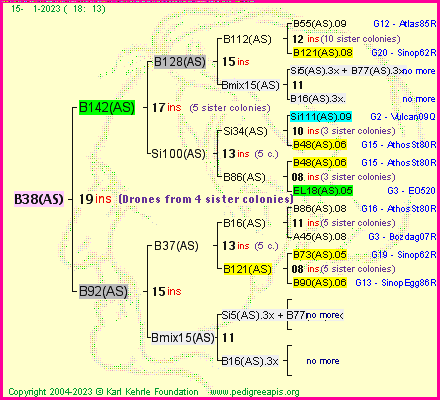 Pedigree of B38(AS) :
four generations presented
it's temporarily unavailable, sorry!