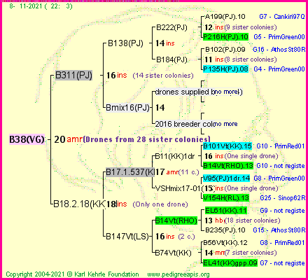 Pedigree of B38(VG) :
four generations presented
it's temporarily unavailable, sorry!