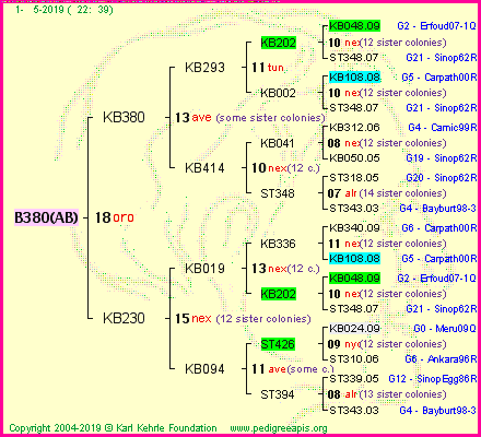 Pedigree of B380(AB) :
four generations presented
it's temporarily unavailable, sorry!