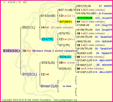 Pedigree of B383(SOL) :
four generations presented
it's temporarily unavailable, sorry!