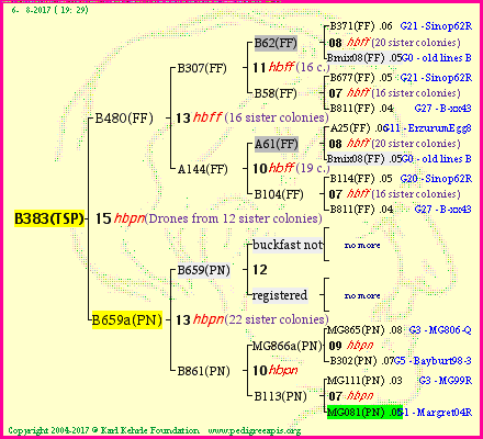 Pedigree of B383(TSP) :
four generations presented<br />it's temporarily unavailable, sorry!