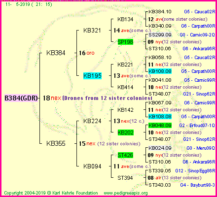 Pedigree of B384(GDR) :
four generations presented<br />it's temporarily unavailable, sorry!