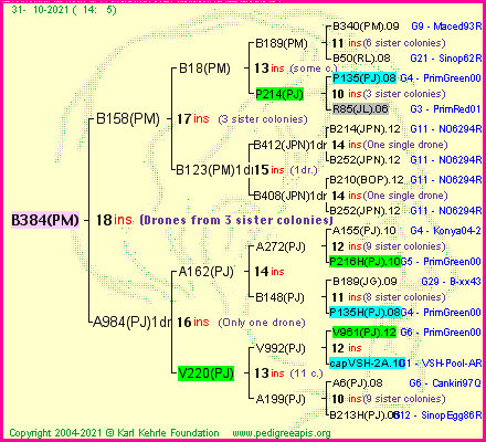 Pedigree of B384(PM) :
four generations presented
it's temporarily unavailable, sorry!