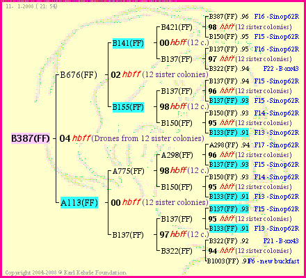 Pedigree of B387(FF) :
four generations presented