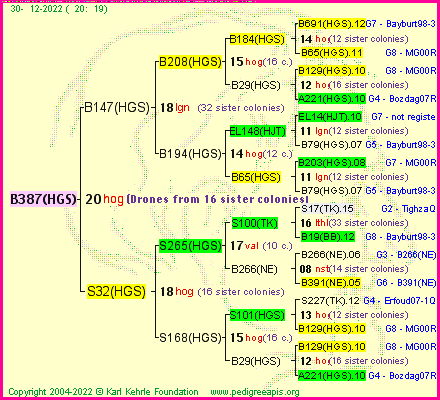 Pedigree of B387(HGS) :
four generations presented
it's temporarily unavailable, sorry!