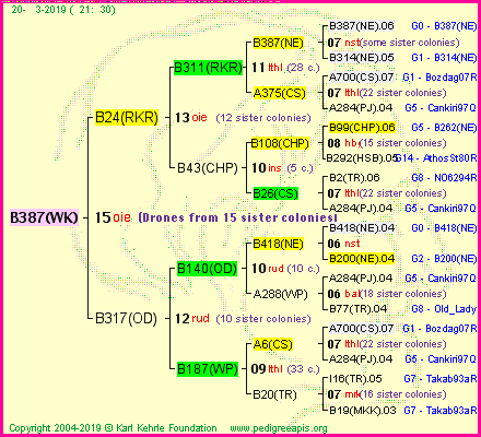 Pedigree of B387(WK) :
four generations presented<br />it's temporarily unavailable, sorry!