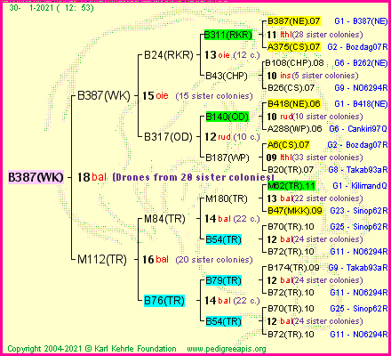 Pedigree of B387(WK) :
four generations presented
it's temporarily unavailable, sorry!